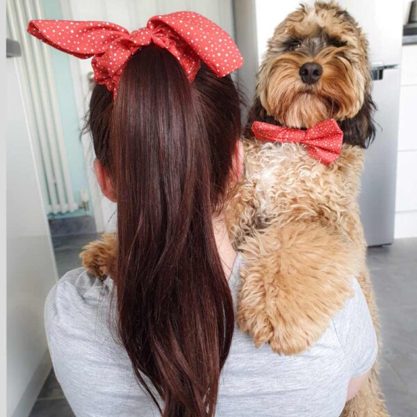 Hair scrunchie, Dotty for You collection, matching dog mum accessories