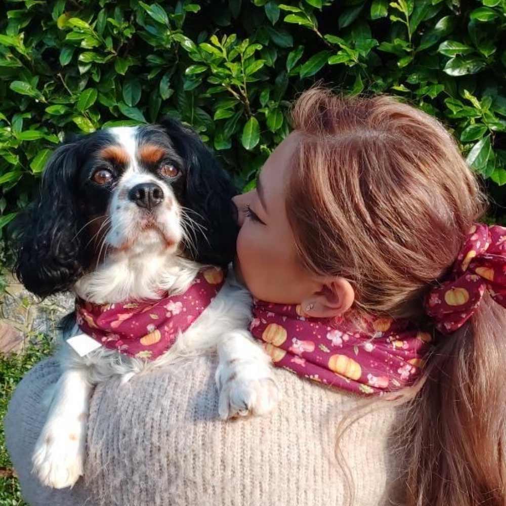 Hair scrunchie, Woodland Creatures collection, matching dog mum accessories