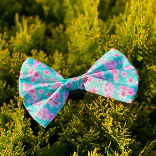 dog bow tie