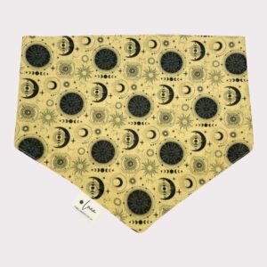 Celestial dog bandana, supernova