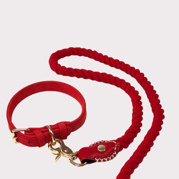 Leather dog collar and cotton rope lead - red