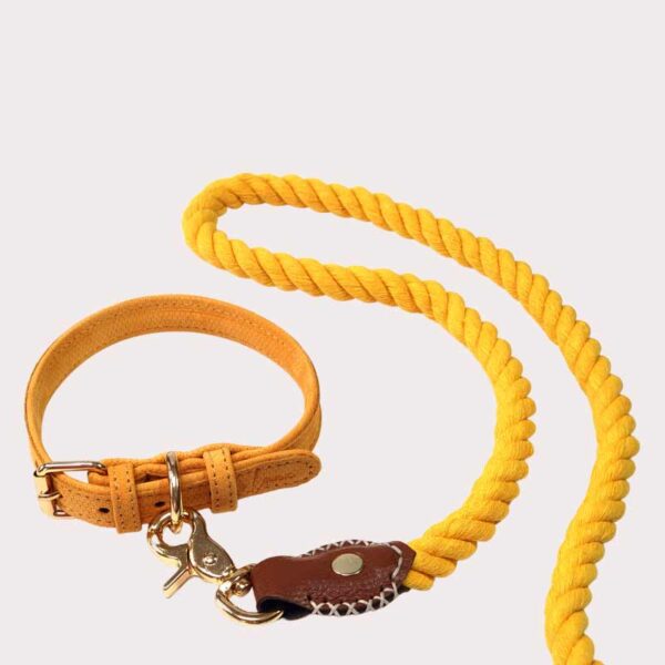 Leather dog collar and cotton rope lead - yellow and tan