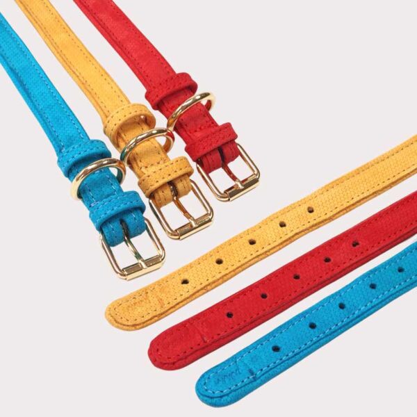 Leather dog collar in all colours