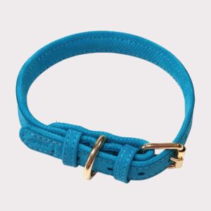 Luxury Leather Dog Collar - Blue