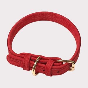 Luxury Leather Dog Collar - Red