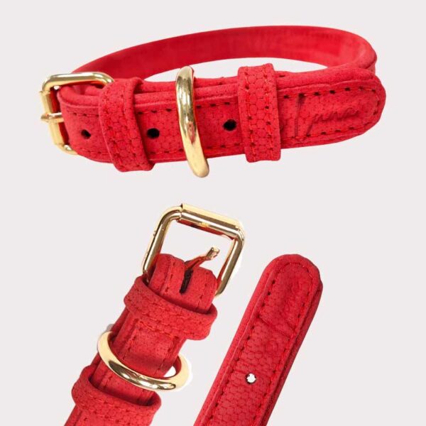 Luxury Leather Dog Collar - Red