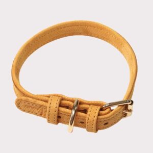 Luxury Leather Dog Collar - Yellow