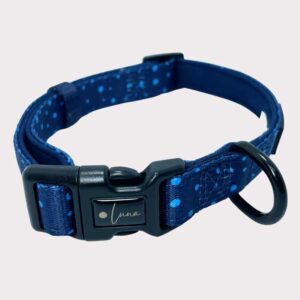 Neoprene Dog Collar - Dotty For You Blue