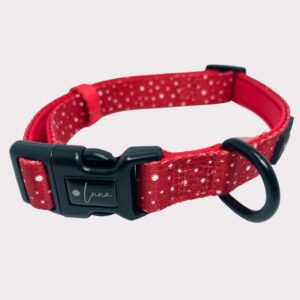 Neoprene Dog Collar - Dotty For You Red