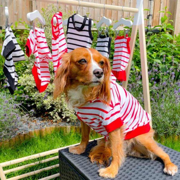 Red and white stripe dog hoodie