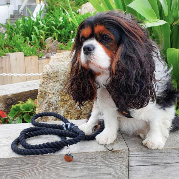 Cotton Rope dog lead, black marble