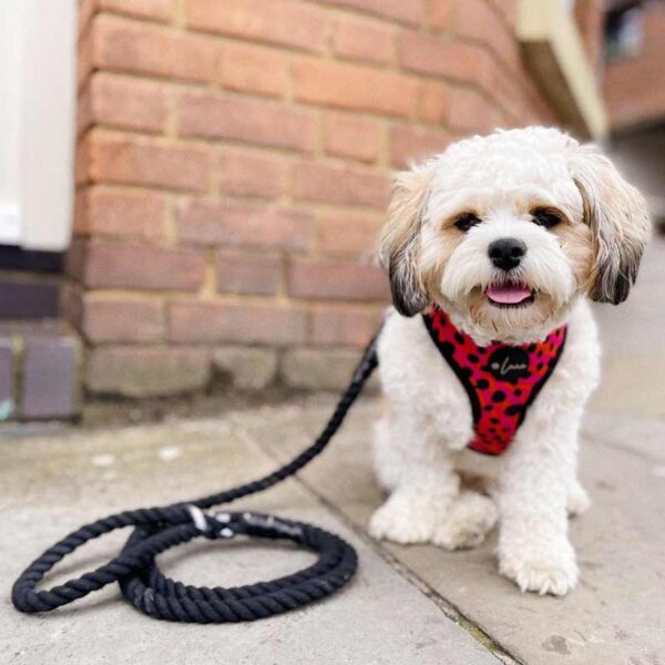 Cotton Rope dog lead, black marble