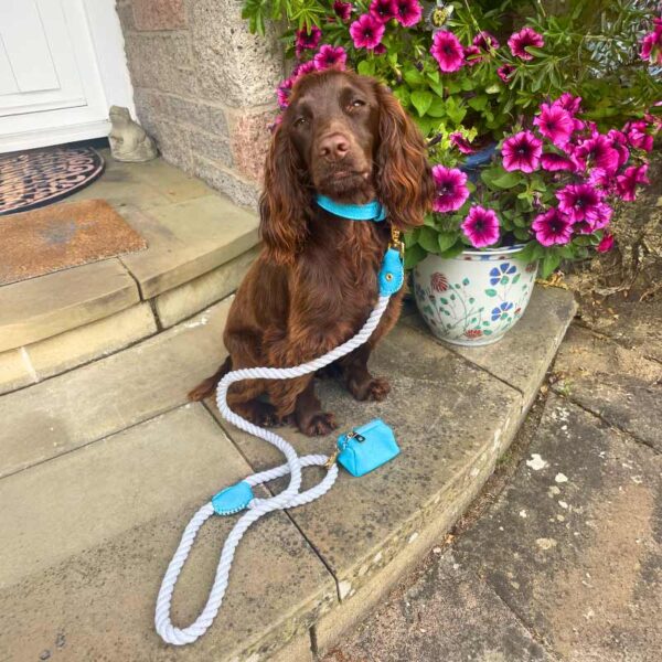 Blue & Grey cotton rope dog lead with luxury leather accents