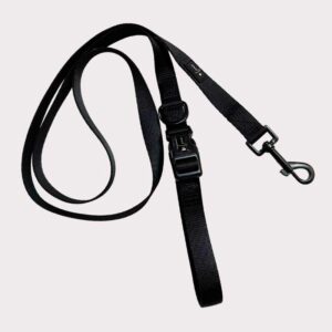 Essential black dog lead, Neoprene