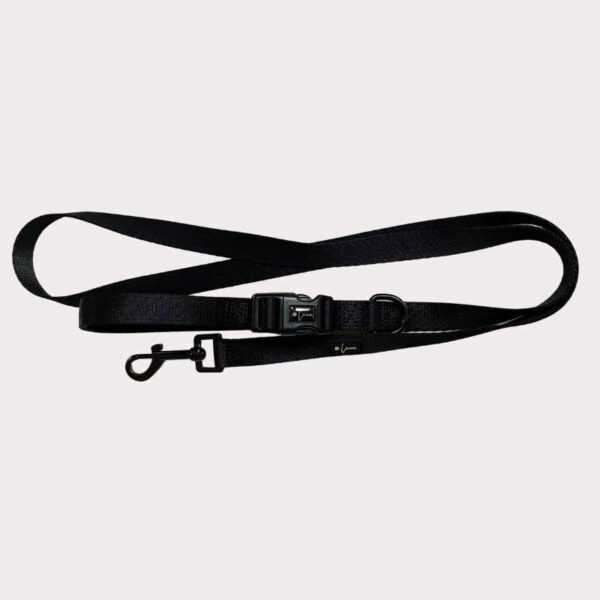 Essential black dog lead, Neoprene