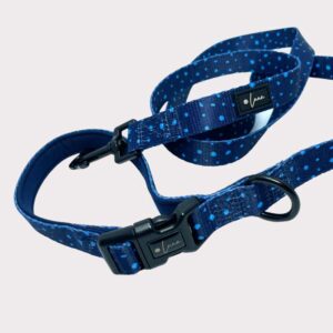 Neoprene dog lead Dotty For You blue