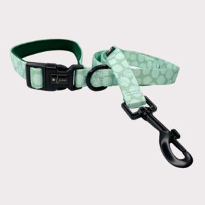 Neoprene dog lead Dotty For You green