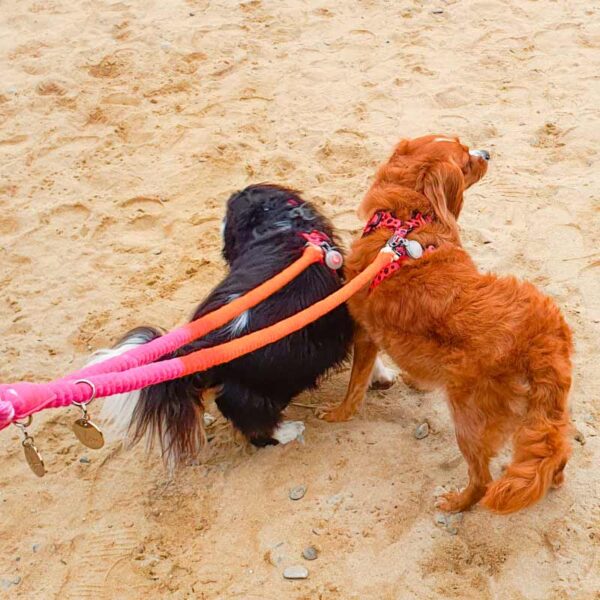 Cotton Rope dog lead, pink & orange ombre