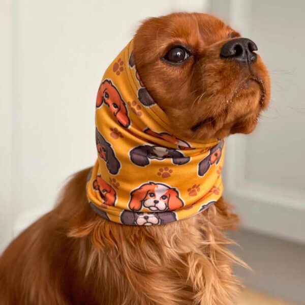 Cavalier dog snood in yellow