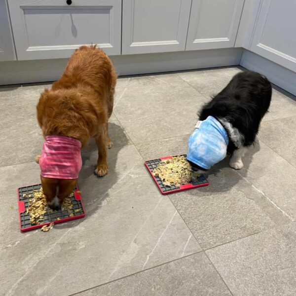 Tie dye dog snood