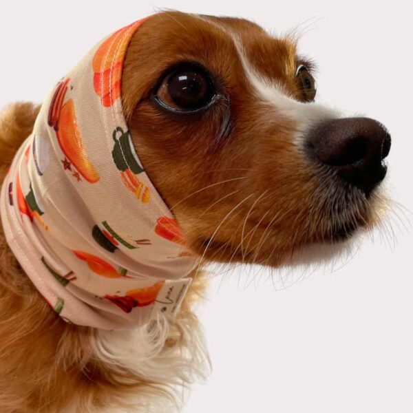 Pumpkin spice pattern dog snood