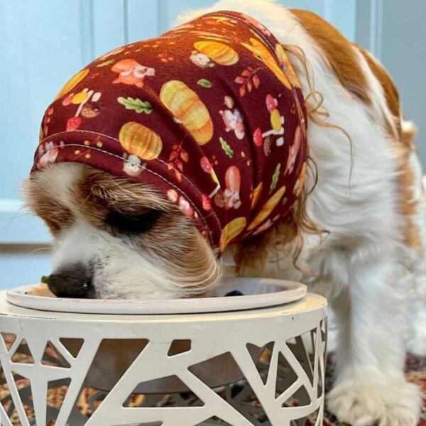 woodland creatures pattern dog snood