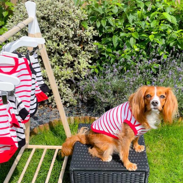 Red and white stripe dog vest