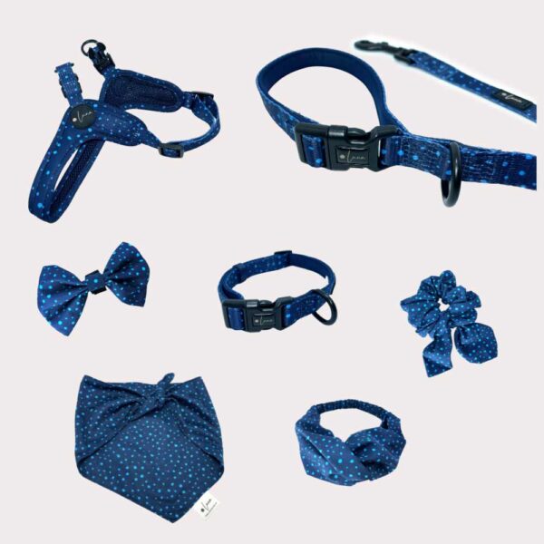 Dog Bandana "Dotty for You" - Blue - Image 4
