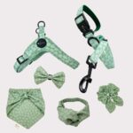 doggy harness, and the matching dog products in dotty green