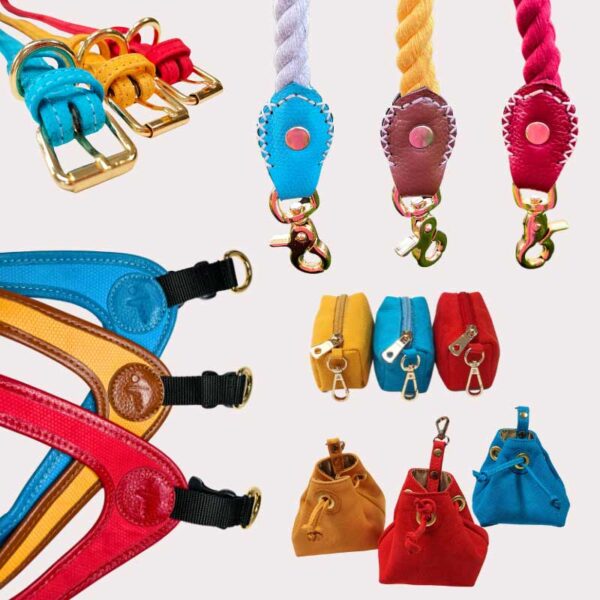 Leather dog accessories set - harness, lead, collar, poop bag holder, treat bag