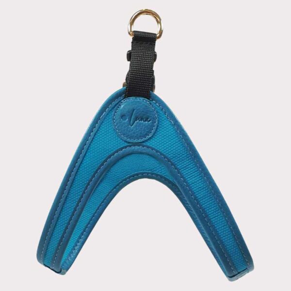 Luxury leather harness, blue