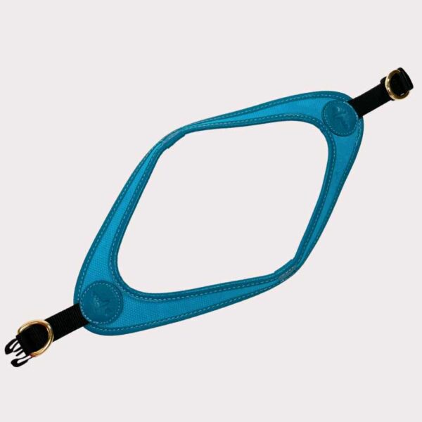 Luxury leather harness, blue