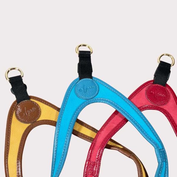 Luxury leather dog harness - all colours