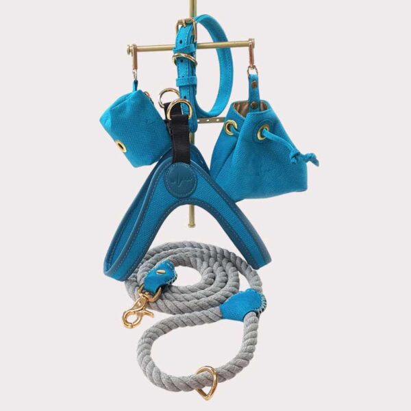 Leather dog accessories set - blue and grey