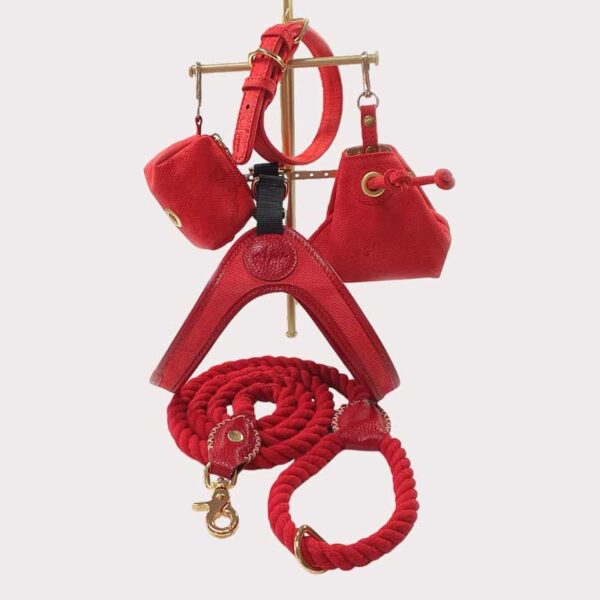 Leather dog accessories set - red