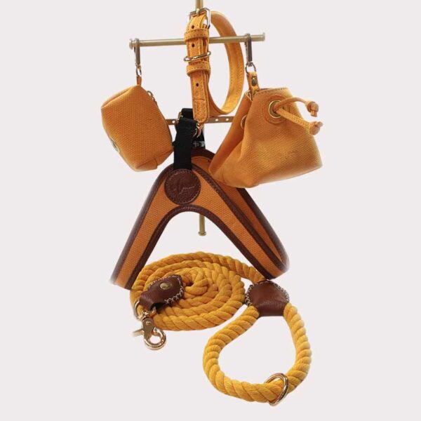 Leather dog accessories set - yellow and tan