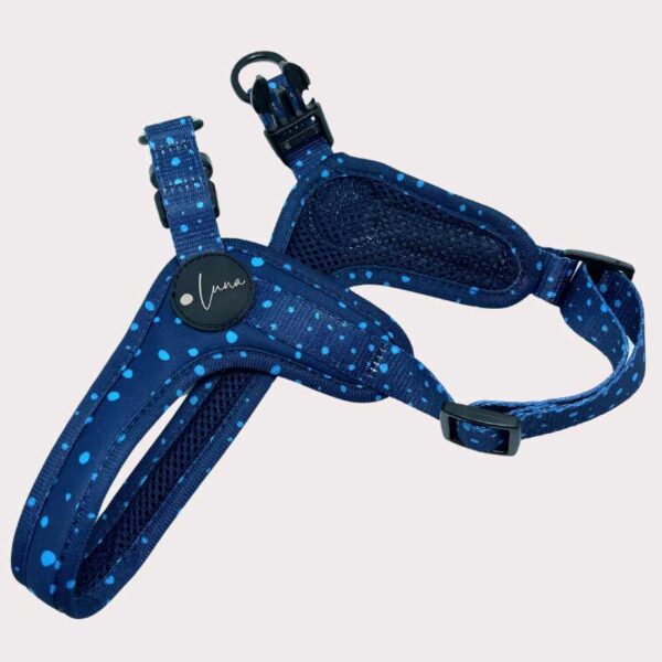 Step-in dog harness blue