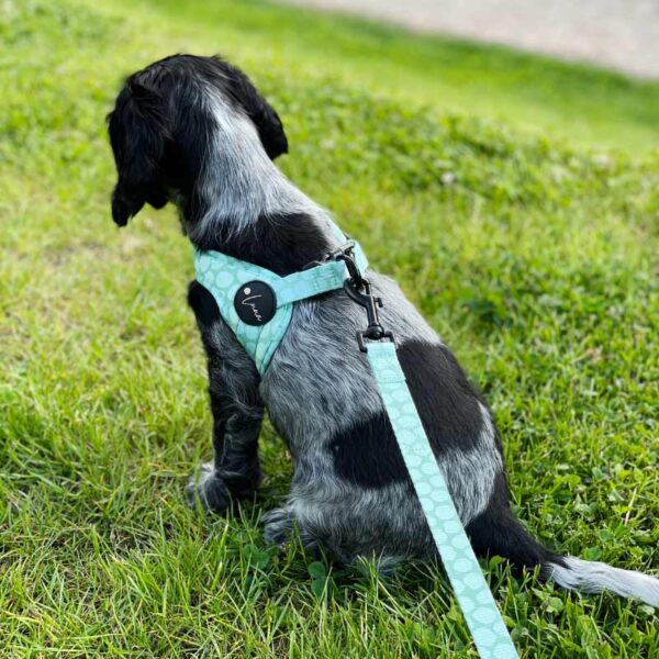 Step-in dog harness green