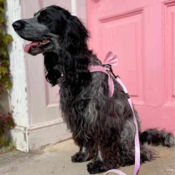 Step-in dog harness pink
