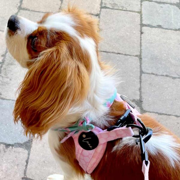 Step-in dog harness pink