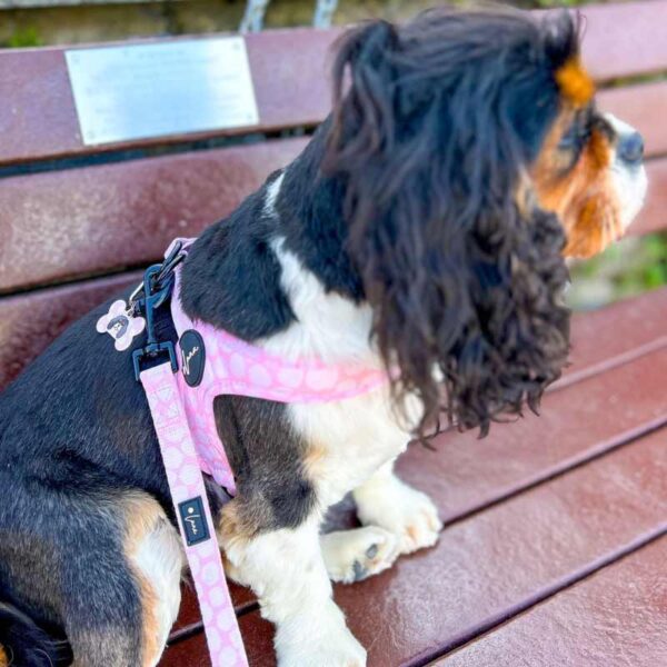 Step-in dog harness pink