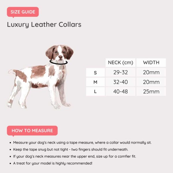 Size guide for leather dog collars