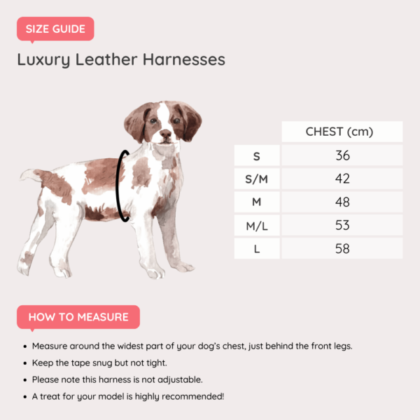 Dog Harness Size guide for luxury leather harnesses