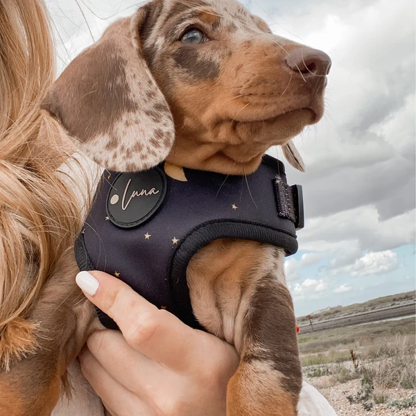 Product review for Adjustable Dog Harness "The Lunar One"